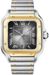 Cartier Santos De Cartier Anthracite Grey Dial Men's Watch W2SA0030 - image 0